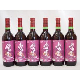 生葡萄酒 日本産葡萄100%使用 おたる醸造 キャンベルアーリ辛口赤ワイン(北海道)720ml×6
