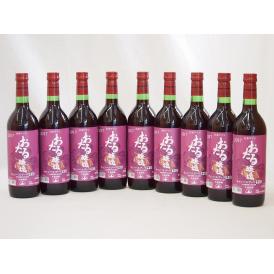 生葡萄酒 日本産葡萄100%使用 おたる醸造 キャンベルアーリ辛口赤ワイン(北海道)720ml×9