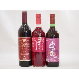日本産葡萄100%使用3本セット おたる醸造(北海道) マスカットベリーA(山梨県)720ml×3