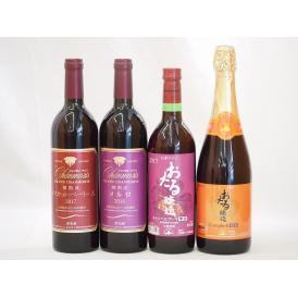 日本産葡萄100%使用4本セット おたる醸造(北海道) マスカットベリーA(山梨県) メルロ(長野県)720ml×4