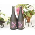 中野BC 紀州梅酒 紅南高(和歌山県) 720ml×2本