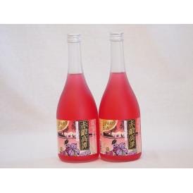 赤鍛高譚　北海道白糠町特産しそ使用 しそリキュール　720ml×2