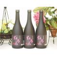 中野BC 紀州梅酒 紅南高(和歌山県) 720ml×3本