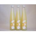 小野屋のゆず 大分県産ゆずを100%使用(大分県) 500ml×3