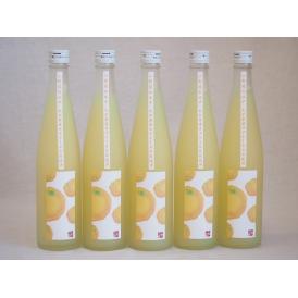 小野屋のゆず 大分県産ゆずを100%使用(大分県) 500ml×5