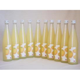 小野屋のゆず 大分県産ゆずを100%使用(大分県) 500ml×10