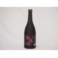 中野BC 紀州梅酒 紅南高(和歌山県) 720ml×1本