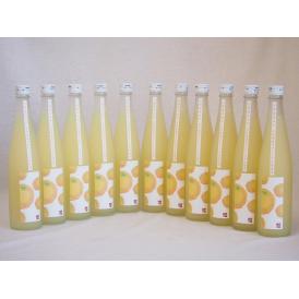 小野屋のゆず 大分県産ゆずを100%使用(大分県) 500ml×11