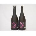 中野BC 紀州梅酒 紅南高(和歌山県) 720ml×2本