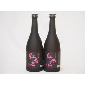 中野BC 紀州梅酒 紅南高(和歌山県) 720ml×2本