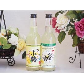 飲み比べチューハイの素セット　660ml×2本
