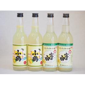 飲み比べチューハイの素セット　660ml×4本