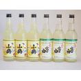 飲み比べチューハイの素セット　660ml×6本