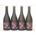 中野BC 紀州梅酒 紅南高(和歌山県) 720ml×4本