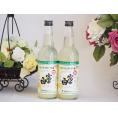チューハイの素 富士白(和歌山県) 660ml×2