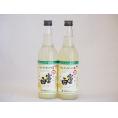 チューハイの素 富士白(和歌山県) 660ml×2