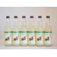 チューハイの素 富士白(和歌山県) 660ml×6