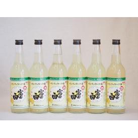 チューハイの素 富士白(和歌山県) 660ml×6