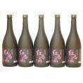 中野BC 紀州梅酒 紅南高(和歌山県) 720ml×5本