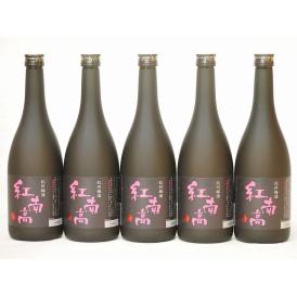 中野BC 紀州梅酒 紅南高(和歌山県) 720ml×5本