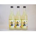 サワー専用 小鶴 ゆずレモン (鹿児島県) 660ml×3