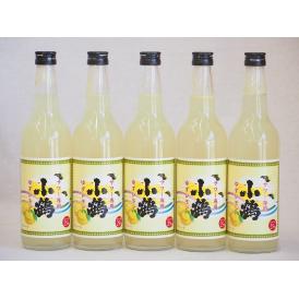 サワー専用 小鶴 ゆずレモン (鹿児島県) 660ml×5