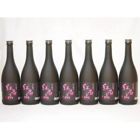 中野BC 紀州梅酒 紅南高(和歌山県) 720ml×7本