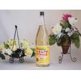 パインアメサワーの素 甘酸っぱくジューシーパイナップル果汁 25度 中野BC(和歌山県)1800ml×1