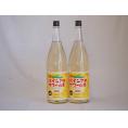 パインアメサワーの素 甘酸っぱくジューシーパイナップル果汁 25度 中野BC(和歌山県)1800ml×2