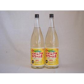 パインアメサワーの素 甘酸っぱくジューシーパイナップル果汁 25度 中野BC(和歌山県)1800ml×2
