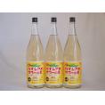 パインアメサワーの素 甘酸っぱくジューシーパイナップル果汁 25度 中野BC(和歌山県)1800ml×3