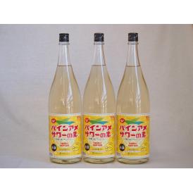 パインアメサワーの素 甘酸っぱくジューシーパイナップル果汁 25度 中野BC(和歌山県)1800ml×3