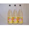 パインアメサワーの素 甘酸っぱくジューシーパイナップル果汁 25度 中野BC(和歌山県)1800ml×4