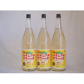 パインアメサワーの素 甘酸っぱくジューシーパイナップル果汁 25度 中野BC(和歌山県)1800ml×4