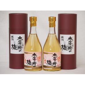 常楽酒造 大宰府の梅 梅酒 大願成就(熊本県) 500ml×2本