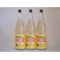 パインアメサワーの素 甘酸っぱくジューシーパイナップル果汁 25度 中野BC(和歌山県)1800ml×5