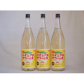 パインアメサワーの素 甘酸っぱくジューシーパイナップル果汁 25度 中野BC(和歌山県)1800ml×5