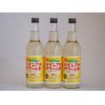 パインアメサワーの素 甘酸っぱくジューシーパイナップル果汁 25度 中野BC(和歌山県)600ml×3