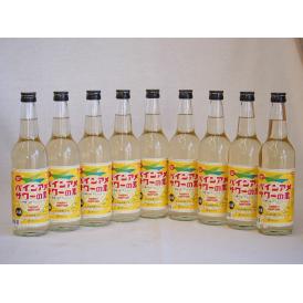 パインアメサワーの素 甘酸っぱくジューシーパイナップル果汁 25度 中野BC(和歌山県)600ml×9
