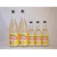 パインアメサワーの素セット 甘酸っぱくジューシーパイナップル果汁 25度 中野BC(和歌山県)600ml×3本 1800ml×2本