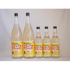 パインアメサワーの素セット 甘酸っぱくジューシーパイナップル果汁 25度 中野BC(和歌山県)600ml×3本 1800ml×2本