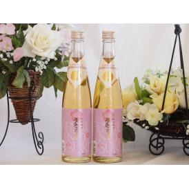 モンドセレクション受賞蔵 樽熟梅酒 天空の月 老松酒造(大分県)500ml×2