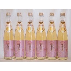 モンドセレクション受賞蔵 樽熟梅酒 天空の月 老松酒造(大分県)500ml×6