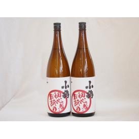 濱田酒造 芋の臭さがたまらない 初心者お断り 25度 (鹿児島県) 1800ml×2