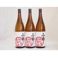 濱田酒造 芋の臭さがたまらない 初心者お断り 25度 (鹿児島県) 1800ml×3