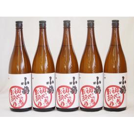 濱田酒造 芋の臭さがたまらない 初心者お断り 25度 (鹿児島県) 1800ml×5