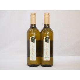 イタリア白ワイン チェヴィコ　ブルーサ ビアンコ 750ml×2