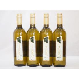 イタリア白ワイン チェヴィコ　ブルーサ ビアンコ 750ml×4