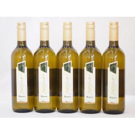 イタリア白ワイン チェヴィコ　ブルーサ ビアンコ 750ml×5