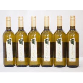 イタリア白ワイン チェヴィコ　ブルーサ ビアンコ 750ml×6